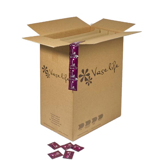 Vaselife Bouvardia Schnittblumennahrung Pulverbeutel 0,5ltr auf String 3400/Krt - 3411801 Vaselife Bouvardia Schnittblumennahrung Pulverbeutel 0,5ltr auf String 3400/Krt - 3411801