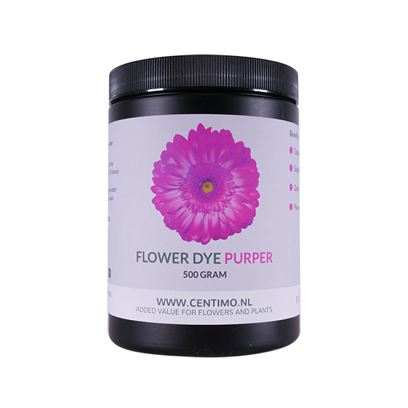 Zuigverf 500gr purper 6/ds - 3638608 Zuigverf 500gr purper 6/ds - 3638608
