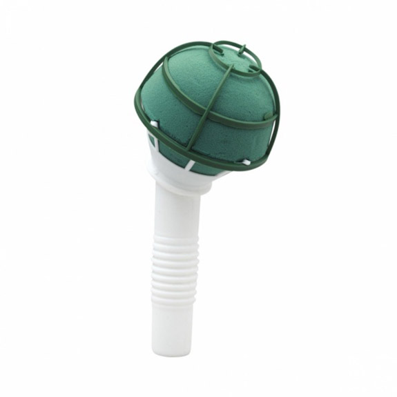 Oasis® Ladynette 6/Satz - 3652100 Oasis® Ladynette 6/Satz - 3652100