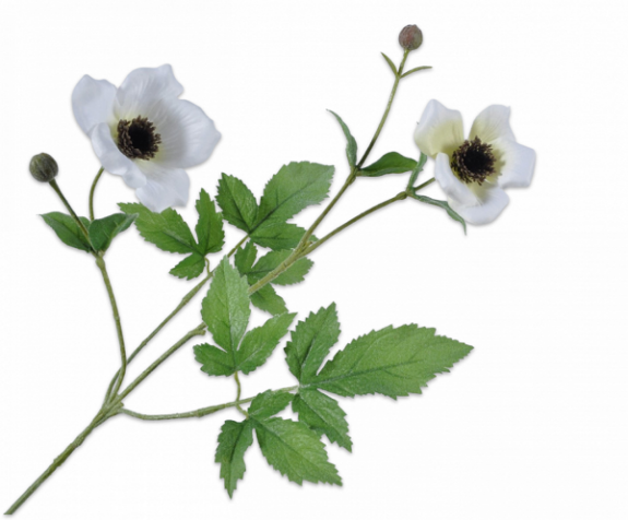 Anemone Spray Cream 70cm - 7680004 Anemone Spray Cream 70cm - 7680004