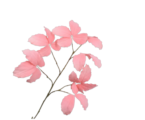 Leaf Spray Salmon 103cm - 7680090 Leaf Spray Salmon 103cm - 7680090